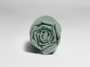 Drap plat enfant percale de coton vert jade