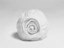 Hoeslaken percal katoen pure white