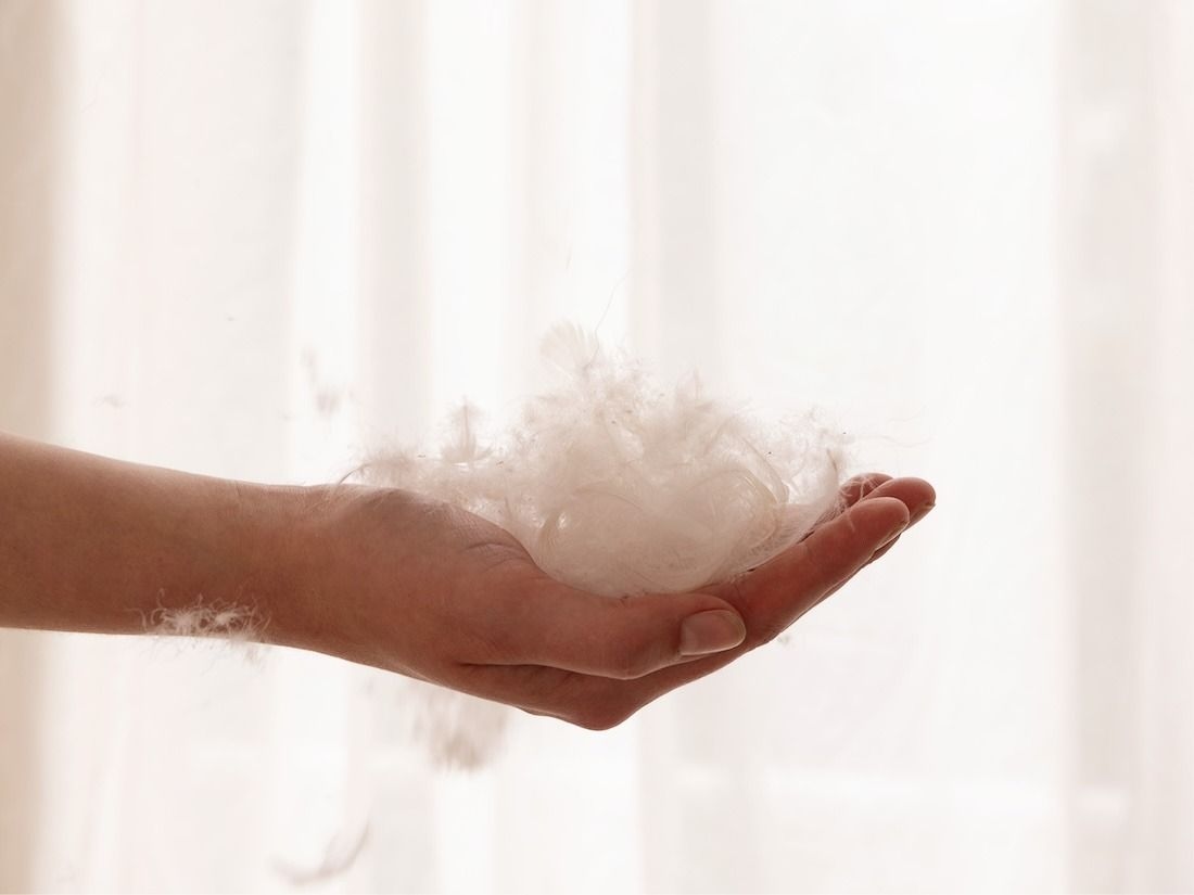 Dekbed gerecycled dons premium lente/herfst 240x220