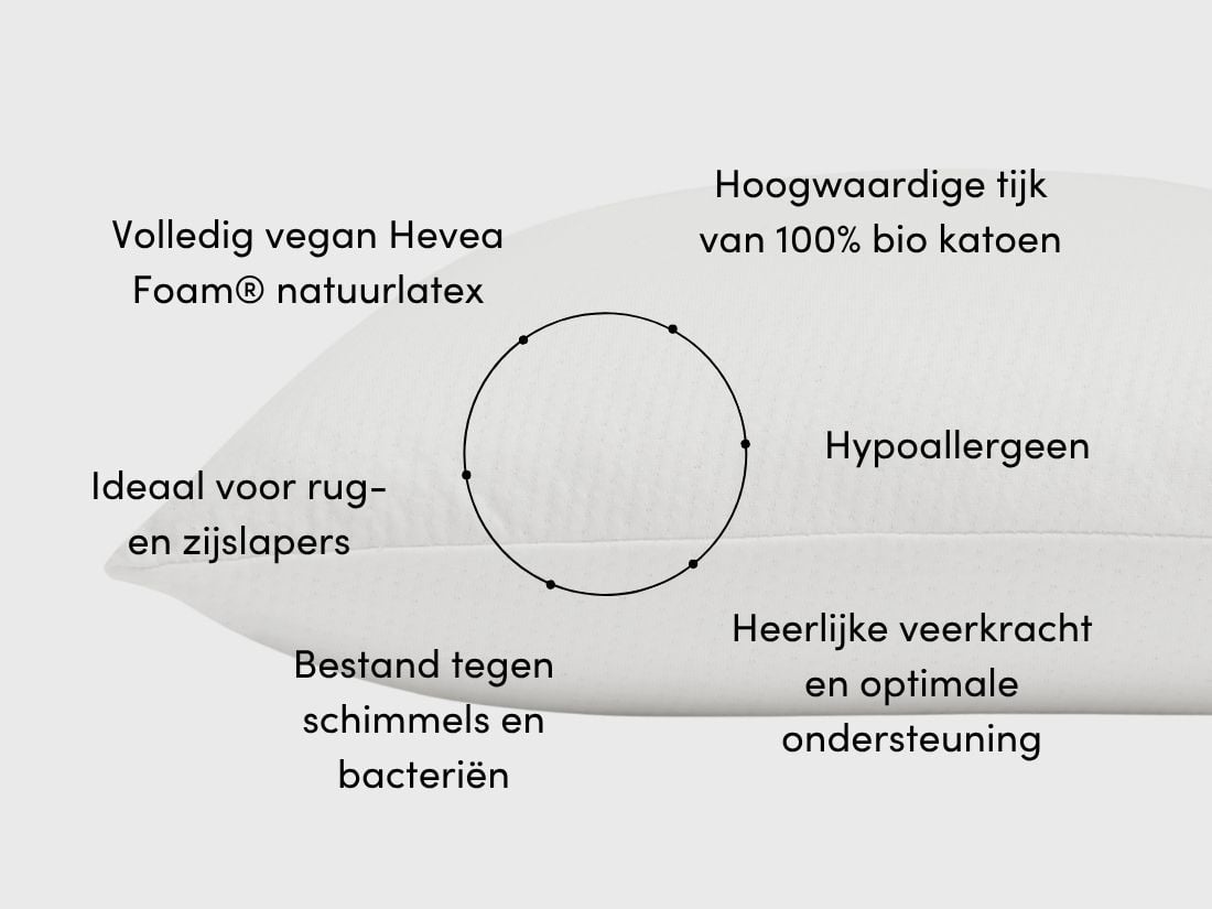 Kussen natuurlatex cloud 40x60x12 medium