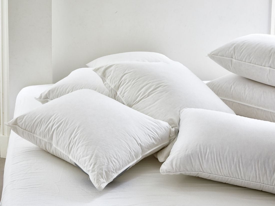 Oreiller en duvet 60x70 ferme