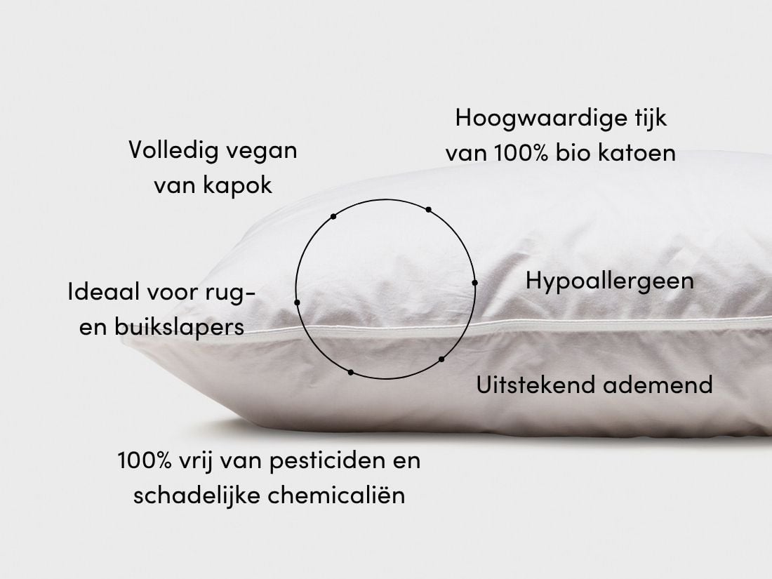 Kussen kapok 50x60 zacht