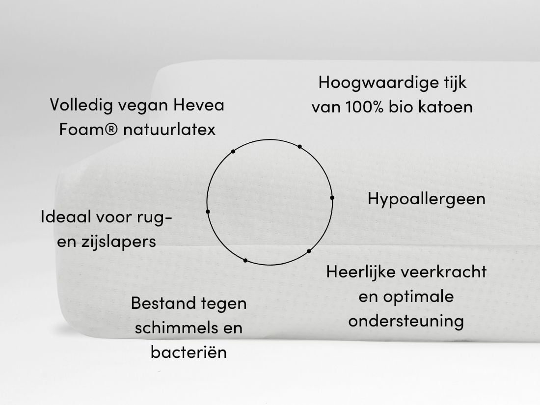 Kussen natuurlatex curve 35x58x12 medium